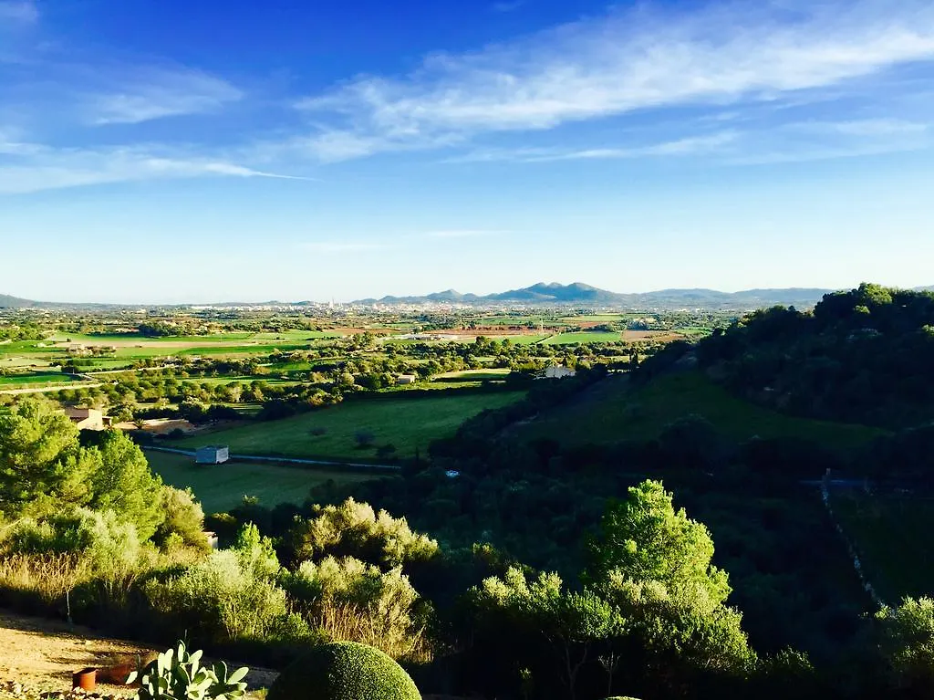 Ca Na Ciara Hotel Manacor  Holiday home Manacor (Mallorca)