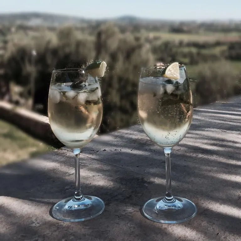 Ca Na Ciara Hotel Manacor  Holiday home Manacor (Mallorca)